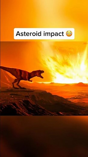 How Animals Become Extinct 🤯