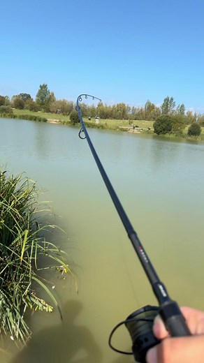 #fishing #fishon #angling #anglingcomunity #carp #carpon #fyp