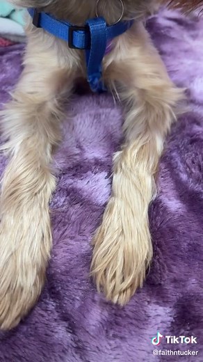 ❤️FaithNTucker❤️ (@faithntucker)’s videos with original sound - Gina Marino