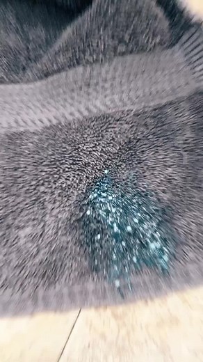 how to get toothpaste out of carpet/towel #carpetcleaning #toothpaste #fyp #foryoupage