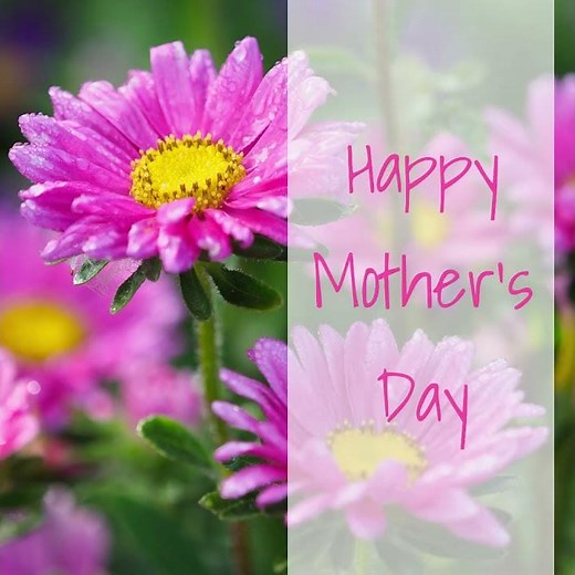Mother’s Day eCard Video Template | Beautiful Animated Greeting Card