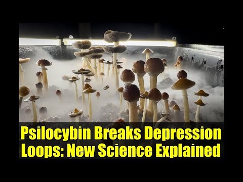 Psilocybin Breaks Depression Loops: New Science Explained