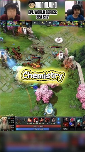 Chemistry Womy x Pota2 ngedive ke high ground dan kembali dg selamat