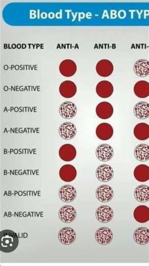 blood group chart............ABO Rh ❣️
