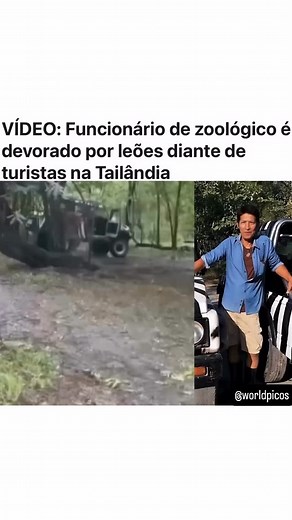 World Picos on Instagram: "🚨 Tragédia em zoológico na Tailândia Um tratador de animais do Safari World de Bangkok morreu após ser atacado por uma matilha de leões na manhã desta quarta-feira (10). O caso chocou turistas e autoridades locais. A vítima, identificada como Jian Rangkharasamee, de 58 anos, alimentava os felinos quando foi surpreendida por um leão. Outros animais se juntaram ao ataque, que durou cerca de 15 minutos. Turistas tentaram alertar funcionários, mas o socorro não conseguiu