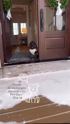 From “no fank you” to… ⭐️⭐️⭐️⭐️⭐️