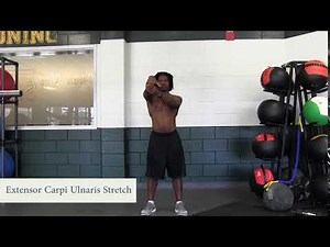 Extensor Carpi Ulnaris Stretch