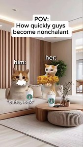 1.7K views · 10K reactions | CAT MEMES  How quickly guys become nonchalant #relatable #catmemes #memes #whatssofunny #relationships #family #cat #short | Cat Memes Shorts | Facebook