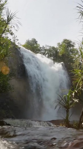 1.9K views · 12 reactions | Go to heifer.org/earthday to take our Earth Day quiz! ❤️ | Heifer International | Facebook