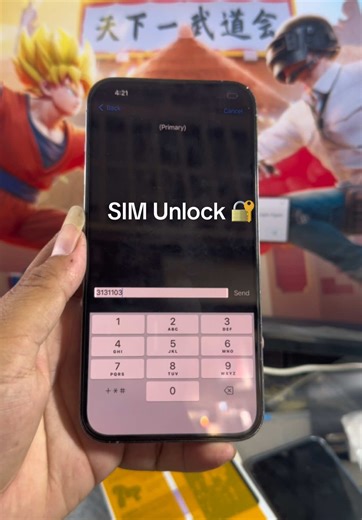 iPhone 13 Pro Max SIM Unlock Service
