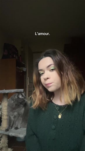 (C’est sont vieux arbres à chat il y tiens ne le jugez pas) #miaou #cat #chat #love