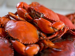 MD Weekend Events: Crab Cruise, Fireworks, Bike Rodeo, Film Fest