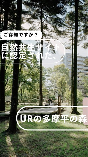 UR都市機構【公式】 on Instagram: "URの団地が #自然共生サイト に認定されているのをご存知ですか？🐸🍃 環境省は、2023年度から生物多様性の保全が図られている区域を「自然共生サイト」に認定してきました。 実はUR賃貸住宅にも、その認定を受けている物件があります。 今日はその第一号となった #多摩平の森 （東京都）をご紹介します。 敷地内に約4.5haの緑地が広がっている多摩平の森。 1997年から始まった団地の建替えをきっかけに、近隣緑地とネットワークを形成する緑の回廊づくりを目指した環境整備などを続けてきました。 そうした取り組みや、優れた生物多様性を有する緑地であることなどが評価され、 2024年に自然共生サイトに認定されました。 これからもURは、地域の特性や環境資源を積極的に利活用し、都市の自然環境の保全・創出および質の高い都市景観の形成に貢献していきます。 ーーーーーーーーーーーーーーーーーーーーーーーーー UR の環境配慮の取り組みはこちら🌳 （スクリーンショットをするとURLをコピーできます。） ■生物多様性を守る技術 https://www.