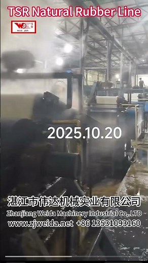 🔥Real Footage: Inside a Natural Rubber TSR Factory | Watch the Complete Production Line in Action✨