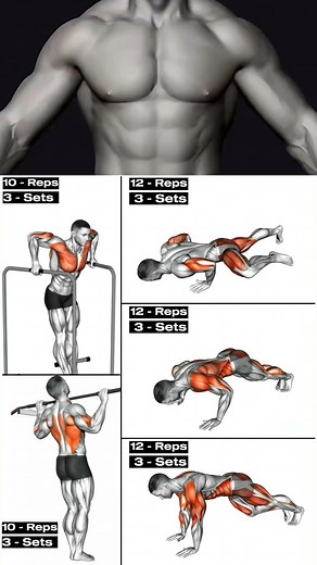 "Build Muscle Fast at Home – You’ll Wish You Tried This Sooner🔥🔥⬆️ #fitness #fyp #viral #reels #BuildMuscleFast #HomeWorkout #MuscleGain #NoExcuses #BodyTransformation | Fit-workout body