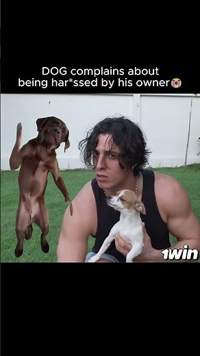 Gattouz's loyalty is only for his dog 😭 #gattouz #funnyclips #memes #relatable #fyp