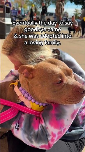 No one tells you how hard it is to foster a dog, have them get adopted, and NEVER see them again 💔