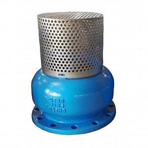 [Hot Item] Stainless Steel Flanged ANSI Well Foot Valve Ductile Iron