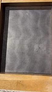 126K views · 3.5K reactions | Happy Friday! Here is another small #pulppainting for your Friday! What colors would you like to see next? Or would you rather see some plantable paper reels. These are what I’m working on for the holiday market coming up @peoriaroadfarm market on November 22. If you are around Corvallis, Oregon hope to see you there! #purple #wildoaksstudio | Wild Oaks Studio | Facebook