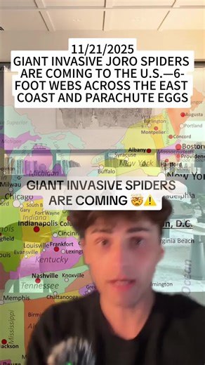GIANT INVASIVE JORO SPIDERS ARE COMING TO THE U.S.—6-FOOT WEBS ACROSS THE EAST COAST AND PARACHUTE EGGS #JoroSpider #Spiders #InvasiveSpecies #ClimateChange #ScienceNews #fyp #greenscreen #foryou #tiktok #news #niickjackson