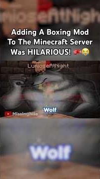 Adding A Boxing Mod To The Minecraft Server Was HILARIOUS! 🥊😭