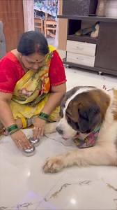 76K views · 2.2K reactions | Sniff Challenge ❤️ #trendingvideo #cutedogvideos #challenge #dogsofinstagram #viralreelschallenge #dogs #cutedogs #viral | Tyzuuu | Facebook