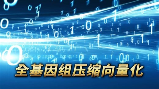 600万SNP压缩成0.75MB向量，基因组也能这么小