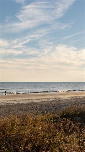 Surf’s up and the screen’s out! 🌊🎥 Join us for Folly Beach Movie Night — an evening of surf films presented by McKevlin’s Surf Shop & Tides Folly Beach. 📅 Thursday, November 13th @ 7pm 📍 On the beach behind Tides — grab your spot at 6pm! 🎟️ Free admission Featuring films by Kate Barattini, The Thomas Brothers, and a special short from Cam Richards. | Tides Folly Beach