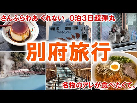 【０泊３日】超弾丸！さんふらわぁくれないの別府旅行｜大阪から別府の３６時間｜別府温泉地獄めぐり