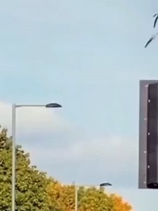 Code de la route : Réaction humoristique à une situation