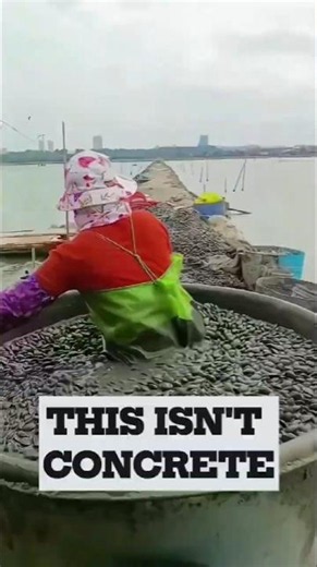 Why Workers Dump Clams Into Mud Before Selling Them