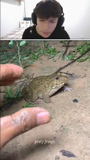 KURBAĞALARI YOK EDEN ADAM⁉️🧐