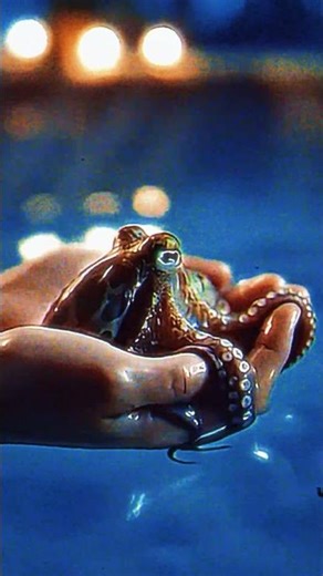 The Cutest Corner AI Aquarium 💧