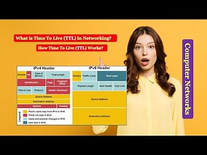 Time To Live (TTL)|What is Time To Live (TTL) in Networking? How Time To Live (TTL) Works?
