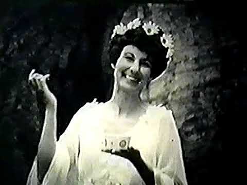 Television in the 1970s: Commercials & Events - Chiffon Margerine