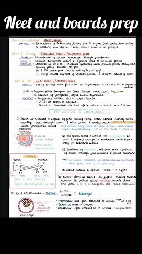 #biology class 12 chapter 2 Human reproduction notes ☺️☺️☺️