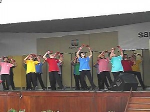 Exposição-Arujá-2010-きよしのズンドコ節.avi