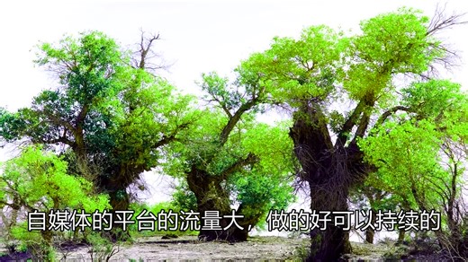 客户信息来源通过哪些途径获取