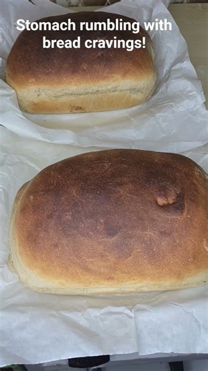 Cravings within my reach!#bread #homemade