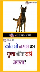 General Knowledge Part - 105 ... . Deepak Dubey General knowledge Facebook #hindiquestionanswers #hindigeneralknowledge #hindiquestion #hindifacts #knowledge #hindiquiz #hindi #genius #generalknowledge #deepakdubey | Deepak Dubey