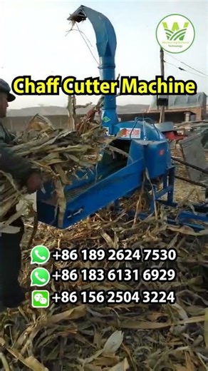 Chaff Cutter Machine Silage Machine | Western Agriculture Technology | Zhengzhou, China