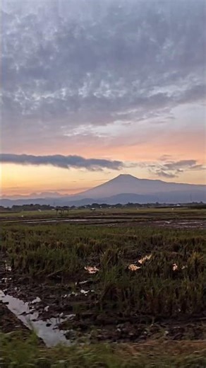 Mount Slamet, Central Java #traveling