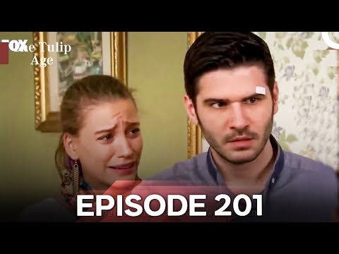 The Tulip Age Episode 201