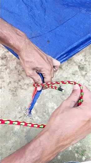 Ever BEST Tarp Corner Knot - simple but works! #ropetrick
