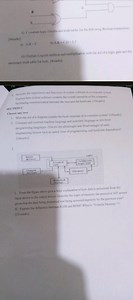 1. With the aid of a diagram, explain the basic structure of a ... | Filo