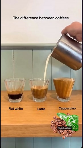 Coffee Break Corner | Finally 3 main coffees explained 🧐 ☕️ FOLLOW FOR COFFE . . . . . #coffee #espresso #caffeine #cafe #latteart #barista #latte #cappuccino... | Instagram