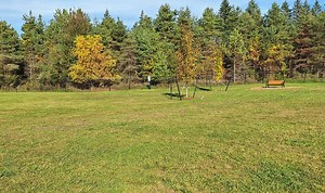 New dog park now open at Cheboygan County Fairgrounds