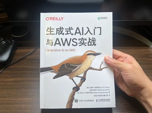 【豆瓣9.4】本书有纯粹的LLM微调的入门知识，绝非推广AWS