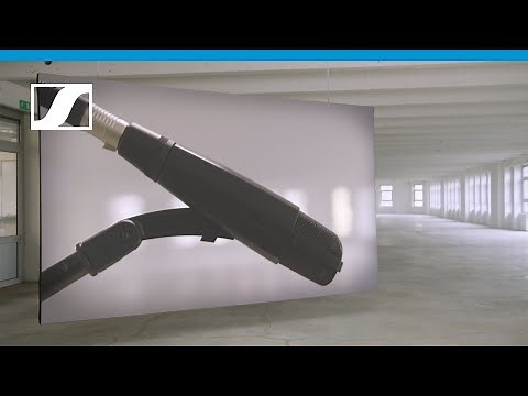 MD 421-II – Diamonds I Sennheiser