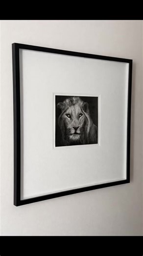 Celebrating South African Wildlife Through Art